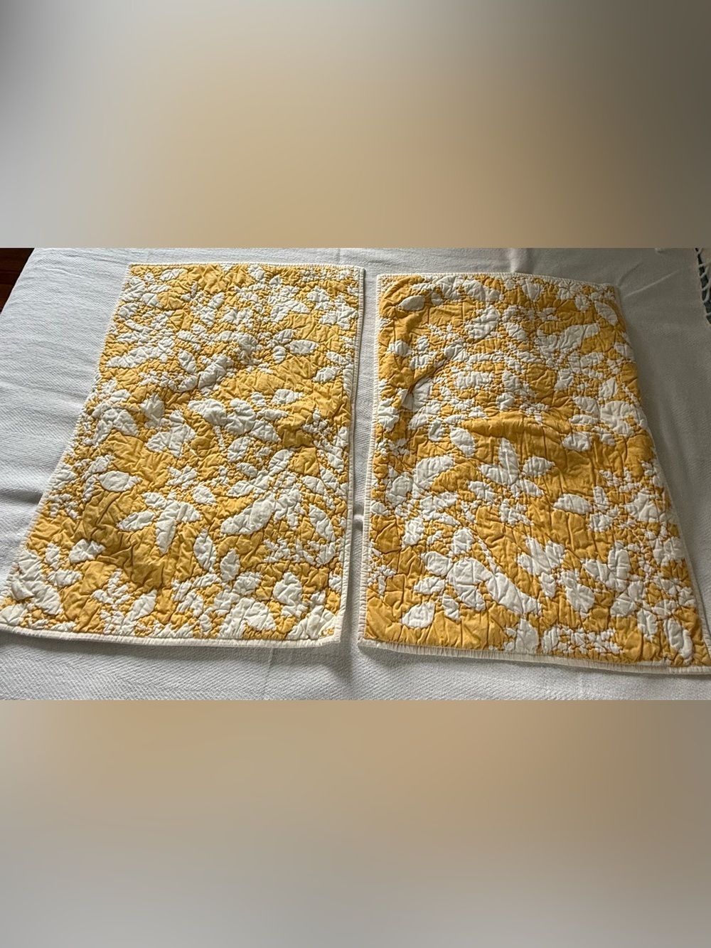 Pottery Barn Songbird Quilted Standard Pillow Shams Set of 2